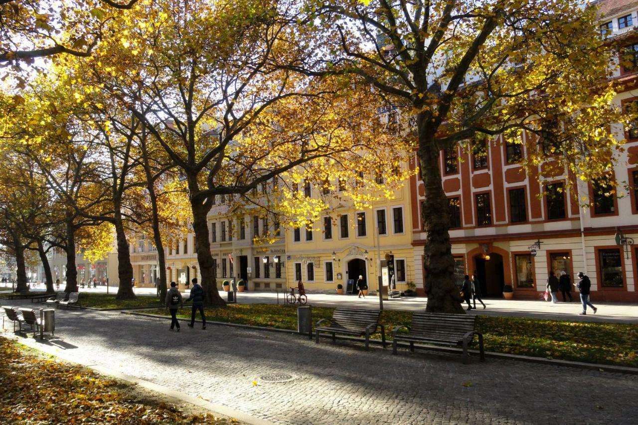 Fewo Canaletto Im Stadtzentrum Dresden Eksteriør bilde